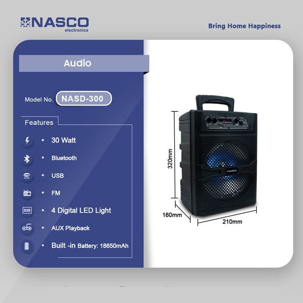 Nasco 30watt Audio Karaoke Nasd 300 in Ghana
