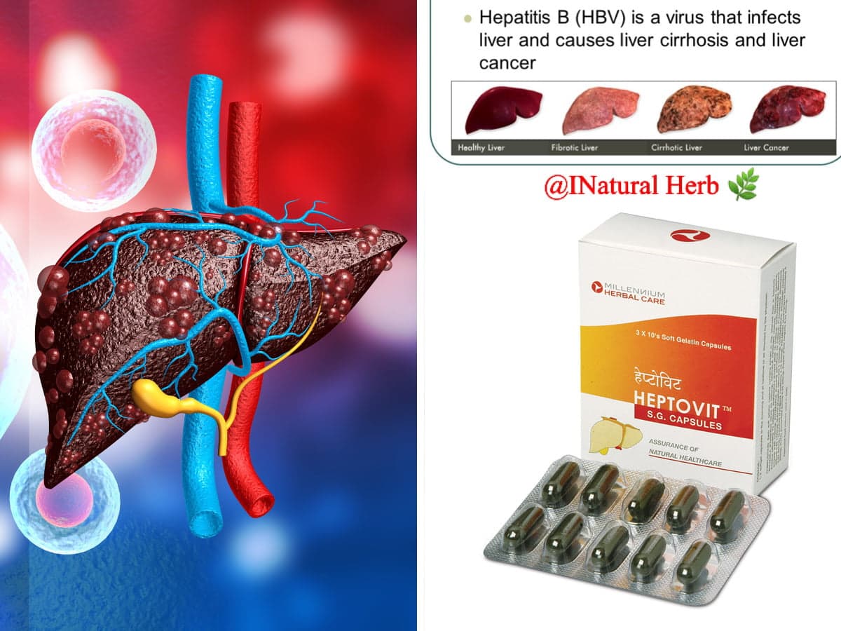 Millenium Herbals Heptovit Capsule Supplement