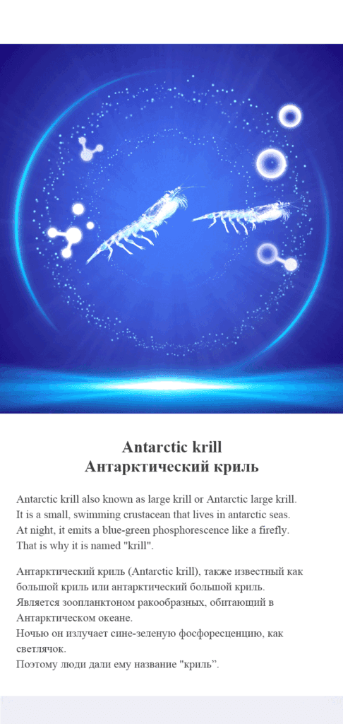 Antarctic Krill Oil Supplement