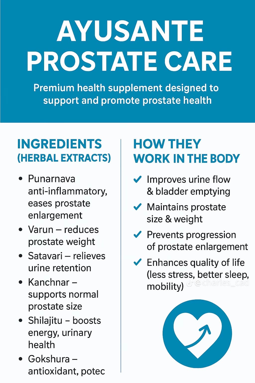 Buy Ayusante Prostate Care (Vestige) in Ghana